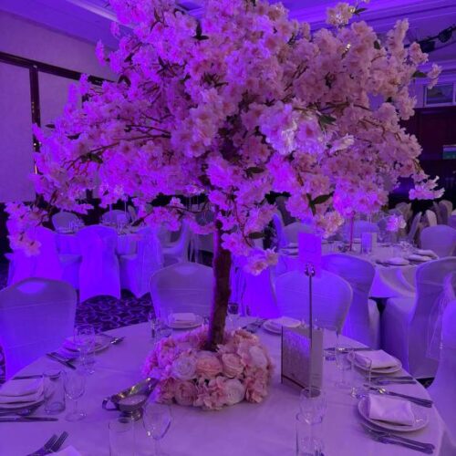 Balloon Decorations Hampshire | Sweet Occasions Events