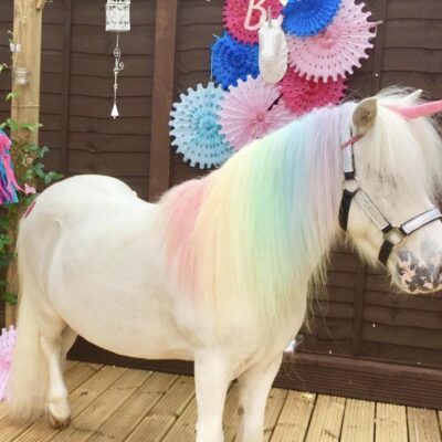 Pony Parties Hampshire | Pony Magic