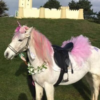 Unicorn Parties Portsmouth | Princess the Unicorn & Friends