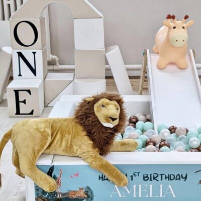 Soft Play Hire Maidenhead | Little Lemons Ltd